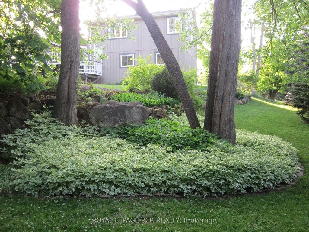 









17


King

Street,
Caledon,




ON
L7K 0C5

