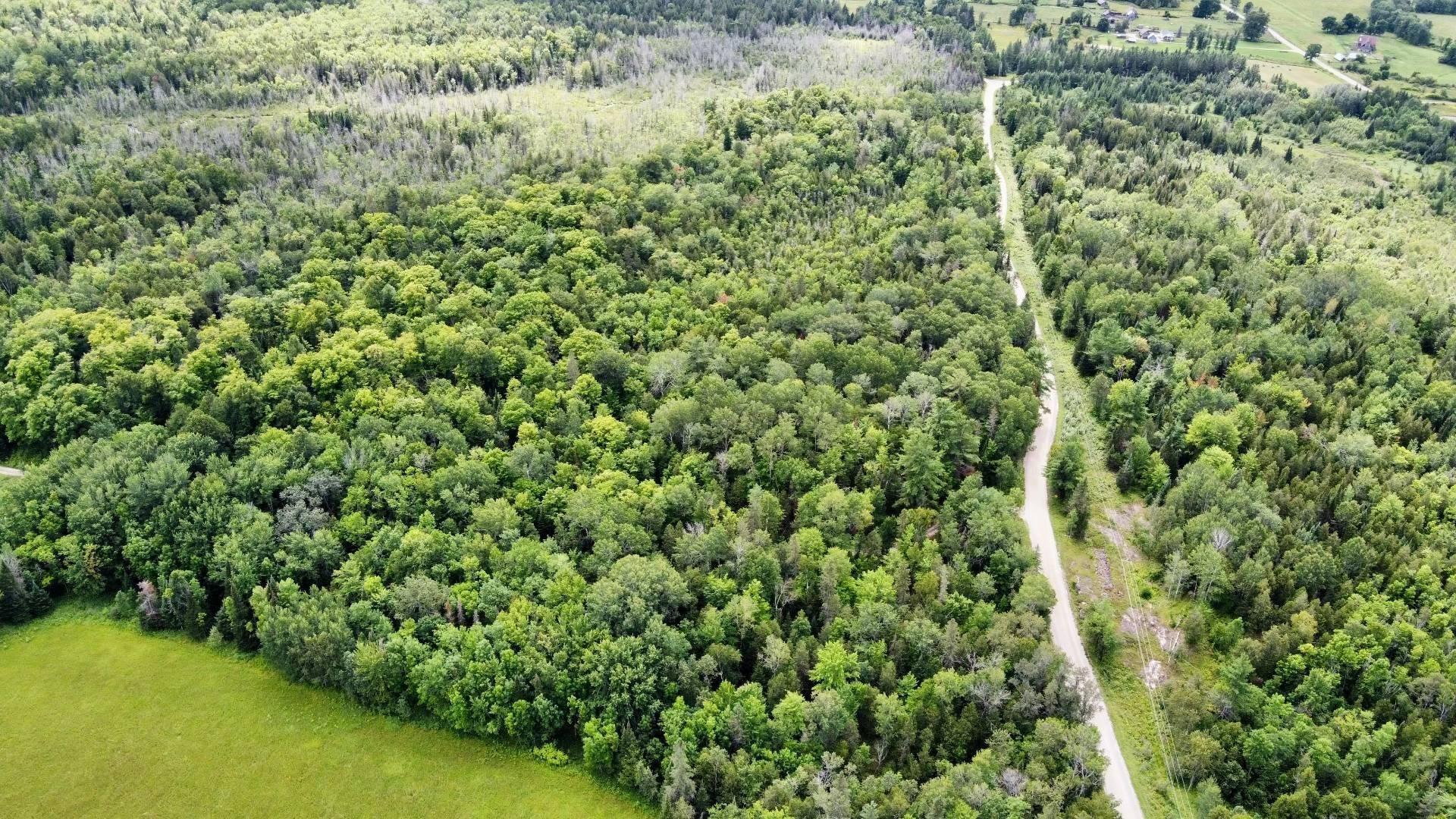 









5


Ch. Barry

,
L'Île-du-Grand-Calumet,







QC
J0X1J0

