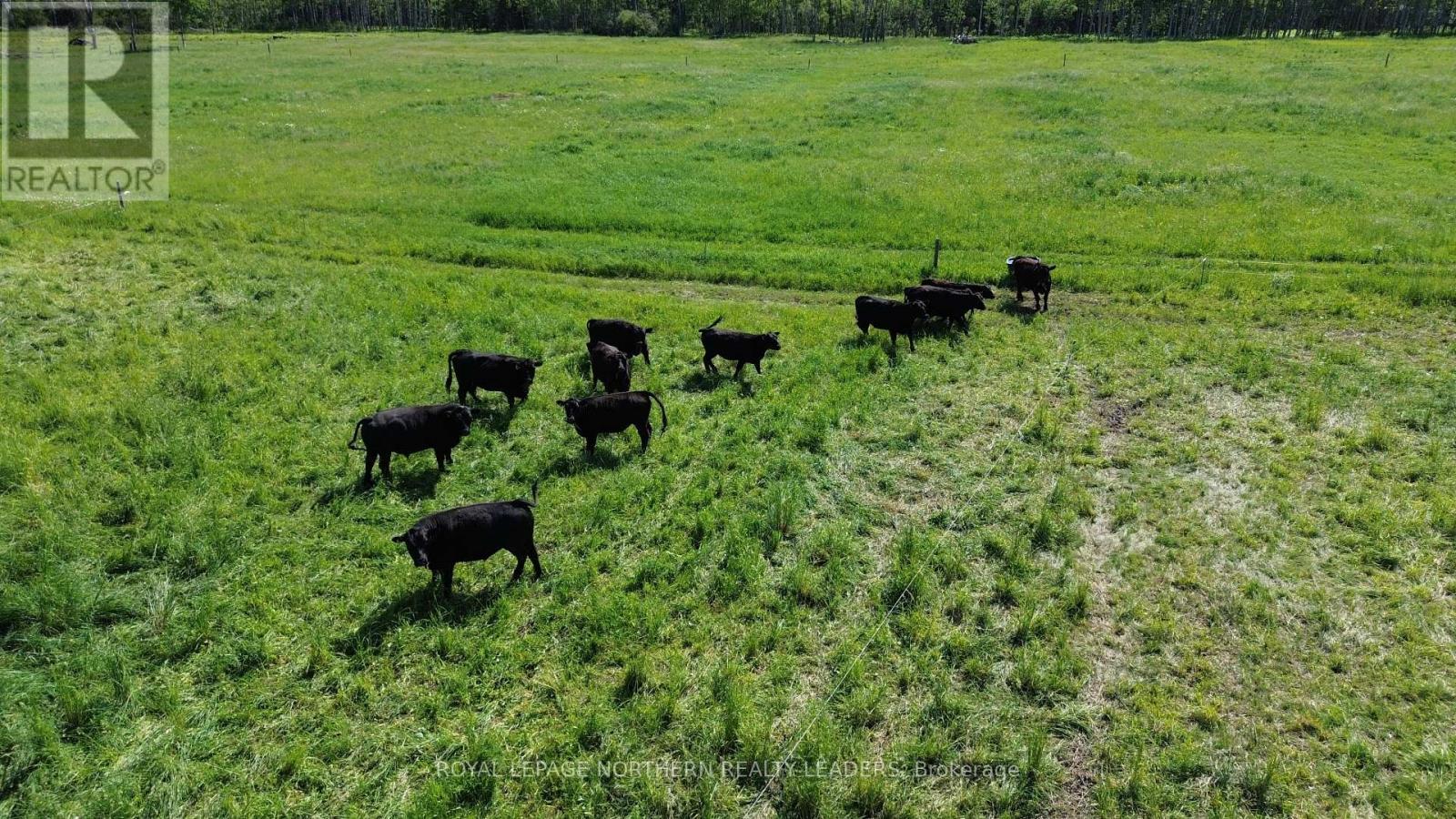 












270 CARON ROAD

,
Timmins (MTJ - Mountjoy Rural),







Ontario
P4R0H4

