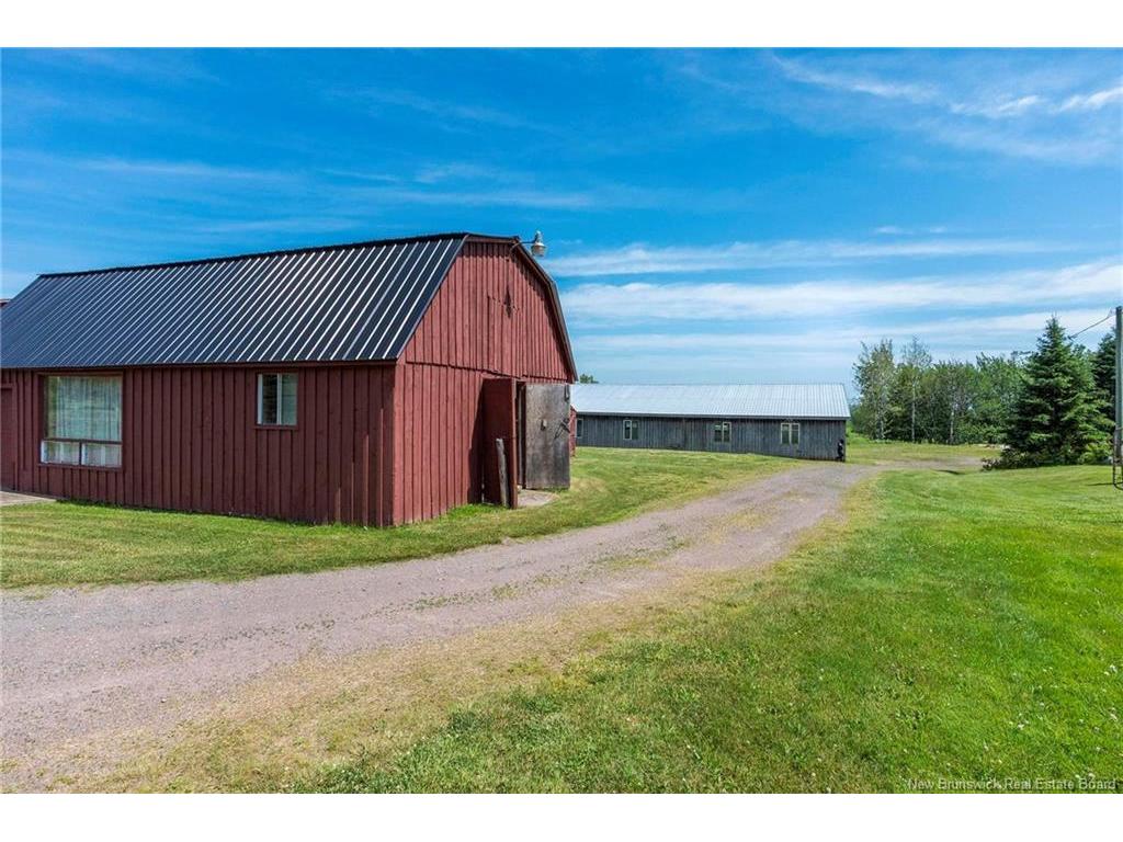 









252


Ammon

,
Ammon,




NB
E1G 3N8

