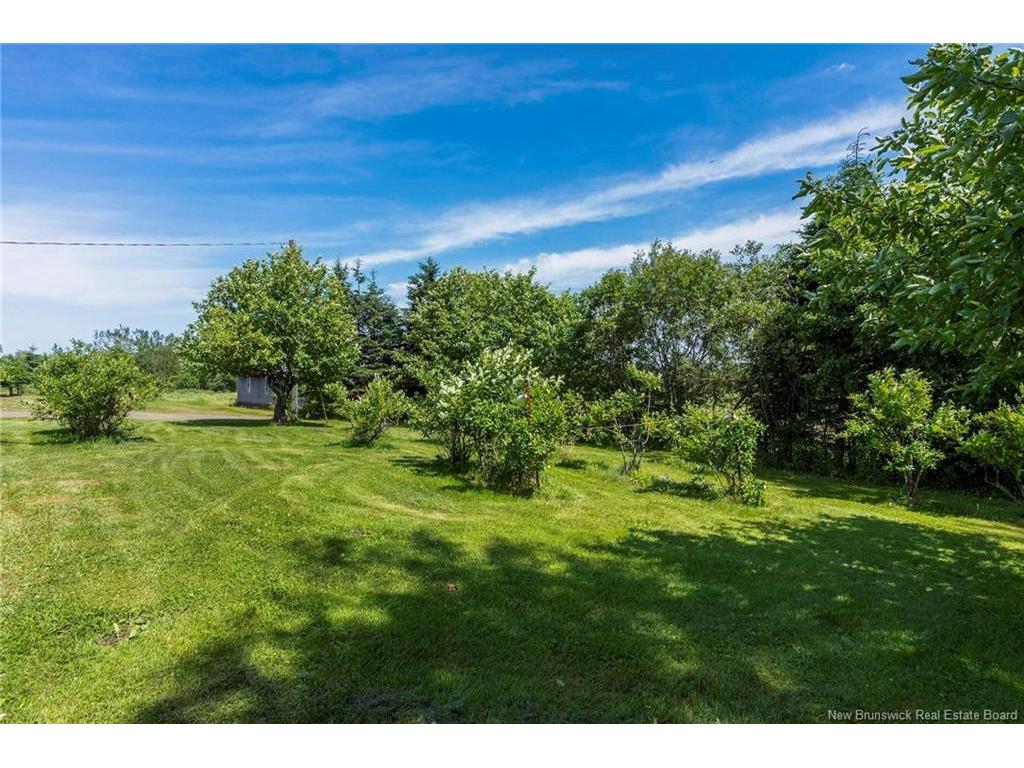 









252


Ammon

,
Ammon,




NB
E1G 3N8

