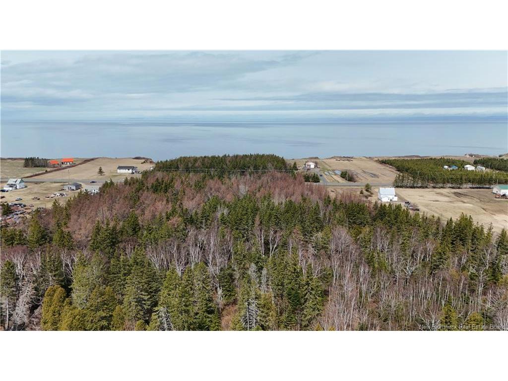 









Lot 1


Route 11

,
Pokeshaw,







NB
E2A 5R9

