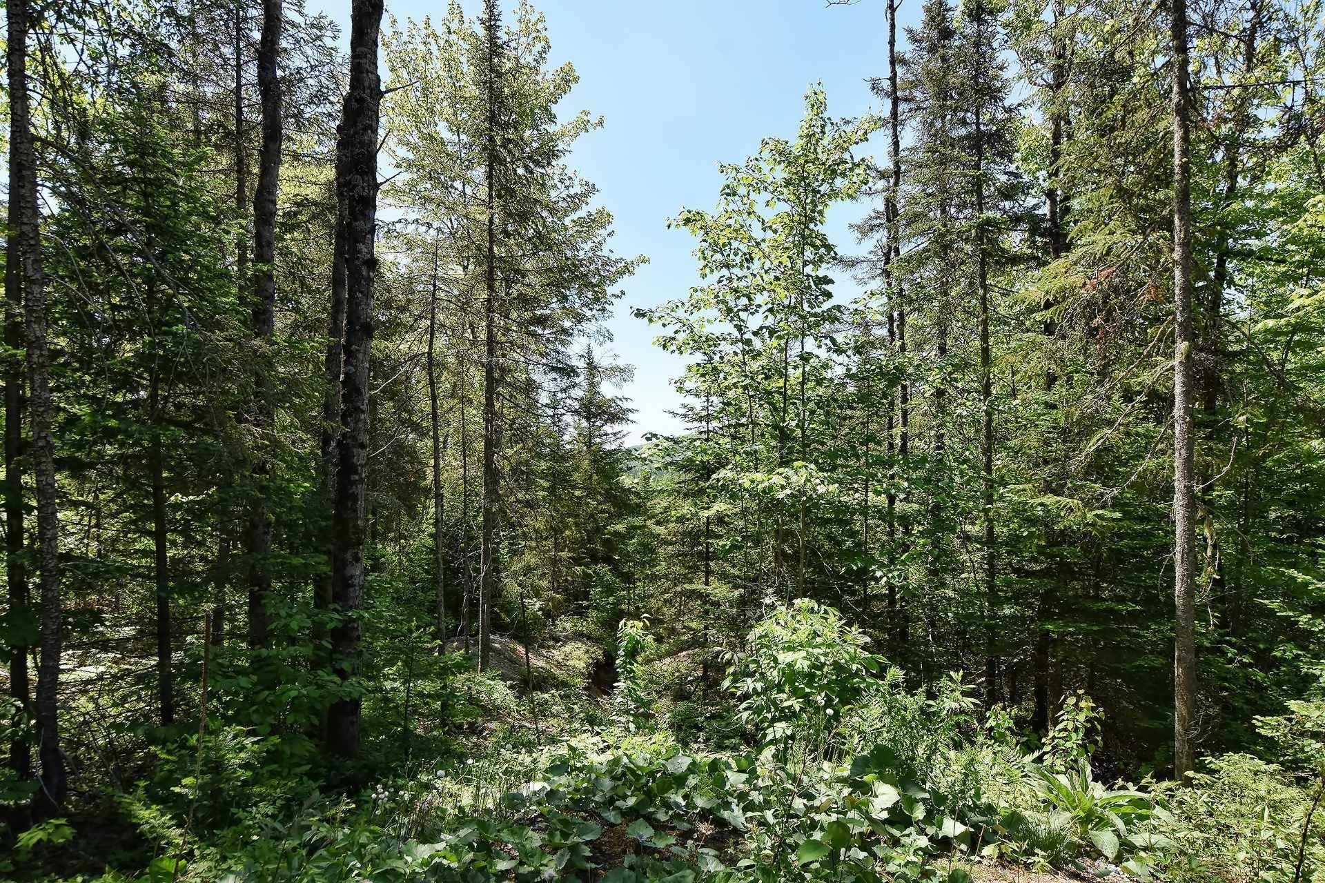 









51

 - 53


Av. Gagné

,
Saint-Côme,




QC
J0K2B0

