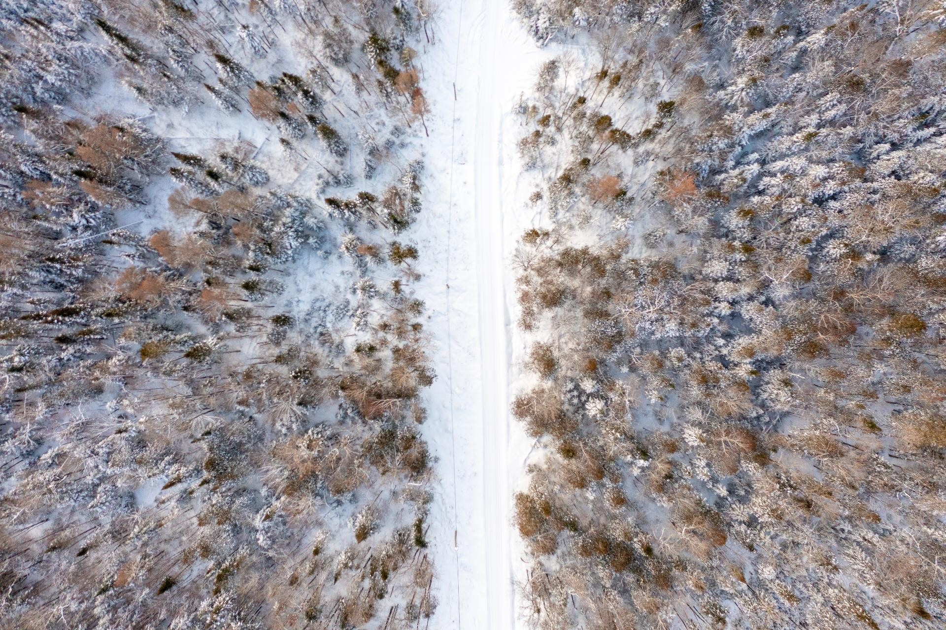 












Ch. Olivier-Paradis

,
Labelle,







QC
J0T1H0

