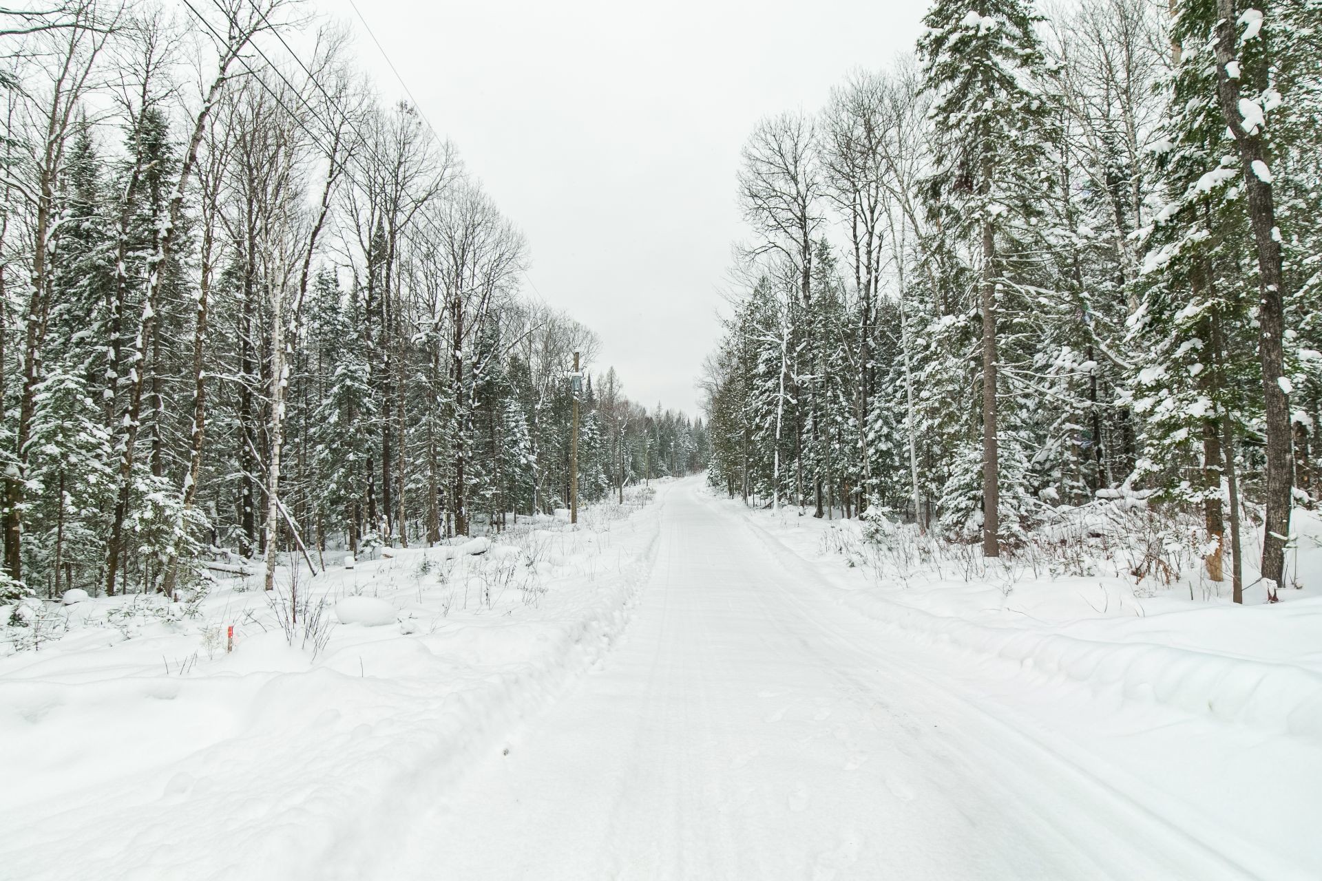 












Ch. Olivier-Paradis

,
Labelle,







QC
J0T1H0

