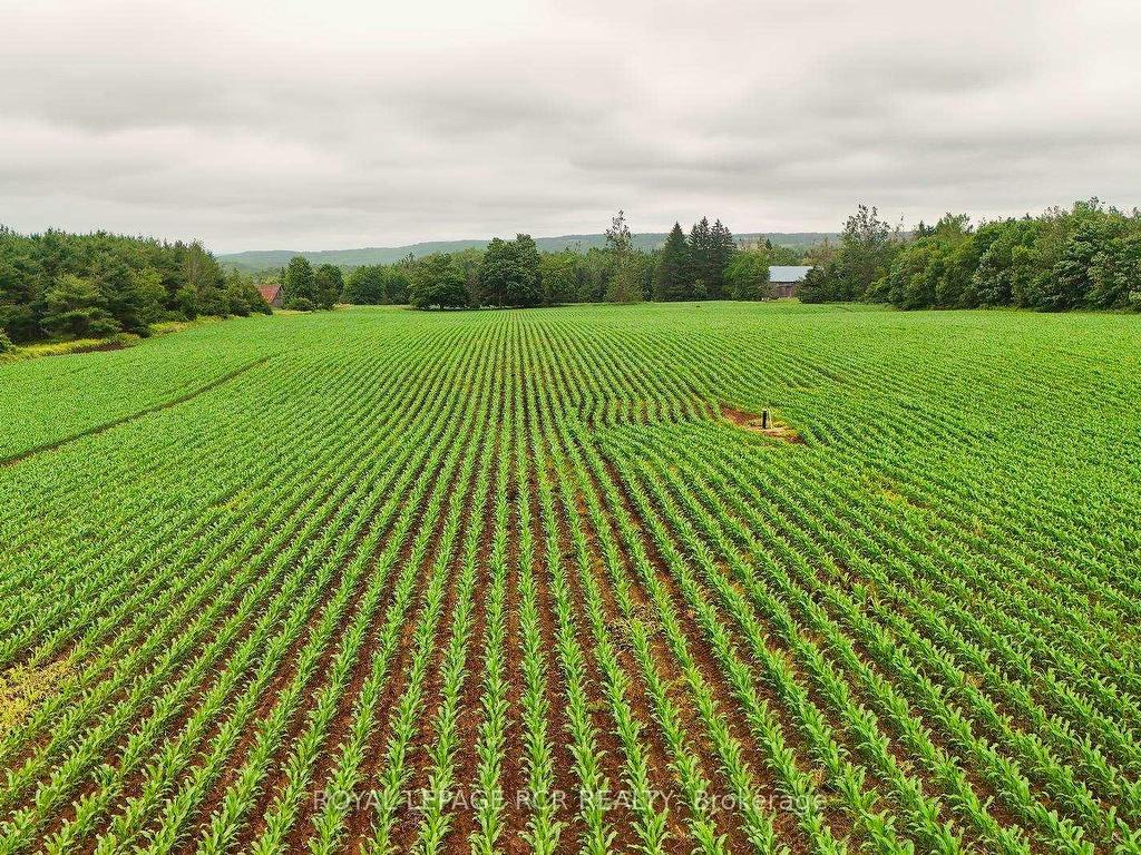 









537086


Main St

N/A,
Melancthon,







ON
L9V 1X6


