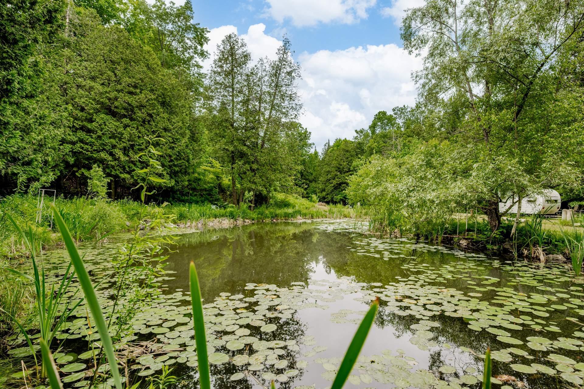 









695


Ch. de Stanstead

,
Ogden,







QC
J0B3E3

