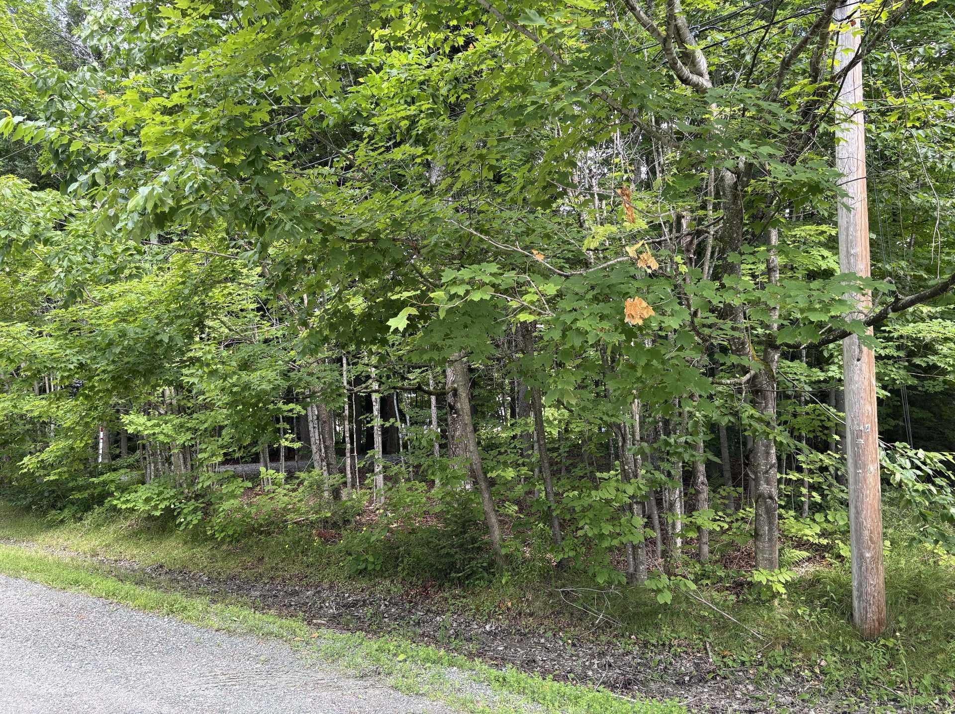 












Rue du Pélican

,
Magog,







QC
J1X0M6

