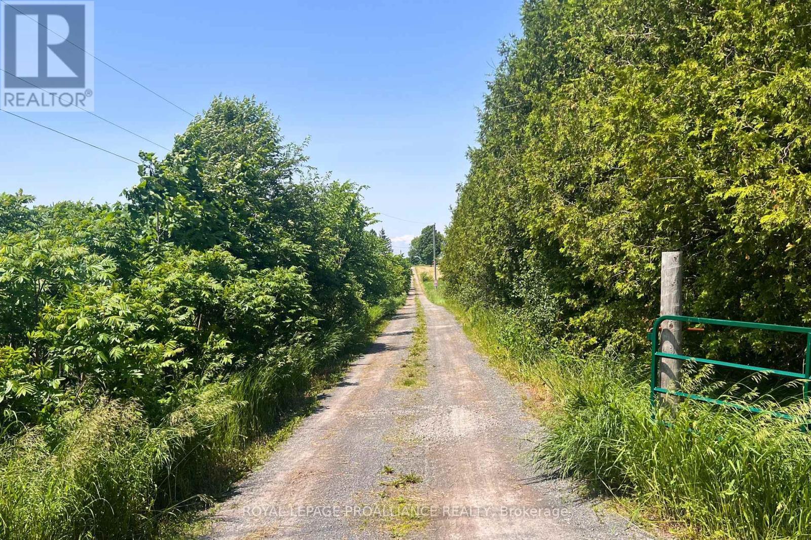 












182 BETHEL ROAD

,
Prince Edward County (Sophiasburg Ward),




Ontario
K0K2T0

