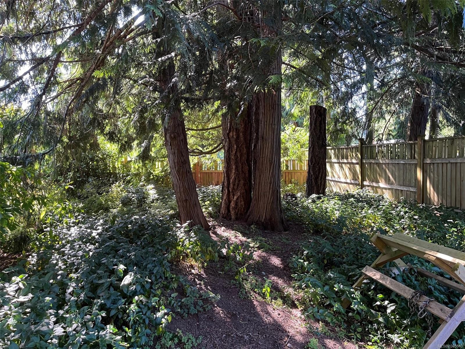









955


Ballenas

Rd,
Parksville,




BC
V9P 1T4

