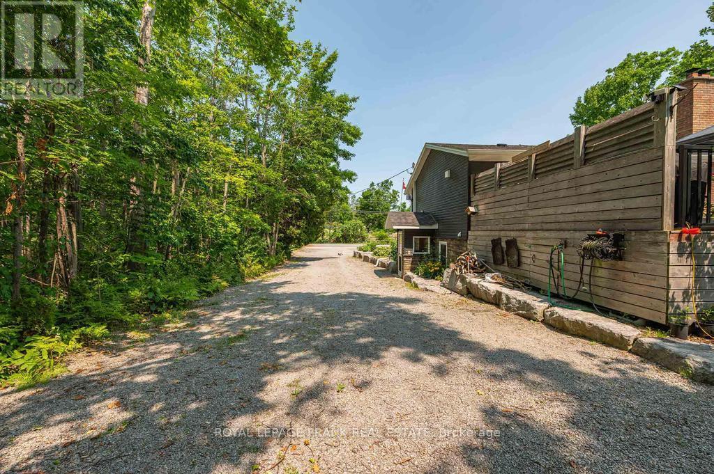 












1746 LAKEHURST ROAD

,
Trent Lakes,




Ontario
K0L1J0

