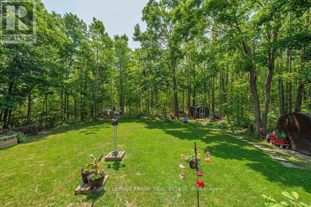 












1746 LAKEHURST ROAD

,
Trent Lakes,




Ontario
K0L1J0

