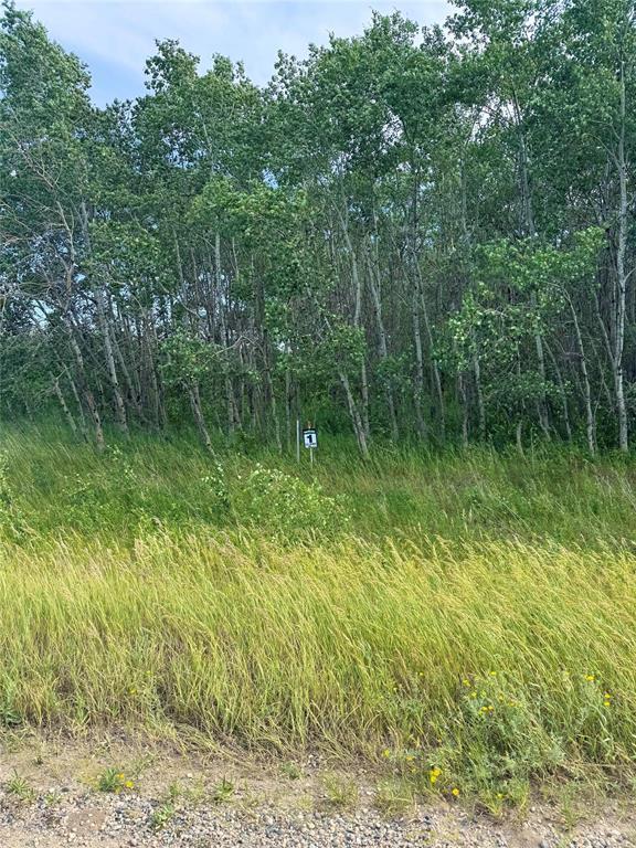 












,
Virden,







Manitoba
R0M2C0

