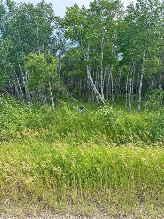 












,
Virden,







Manitoba
R0M2C0

