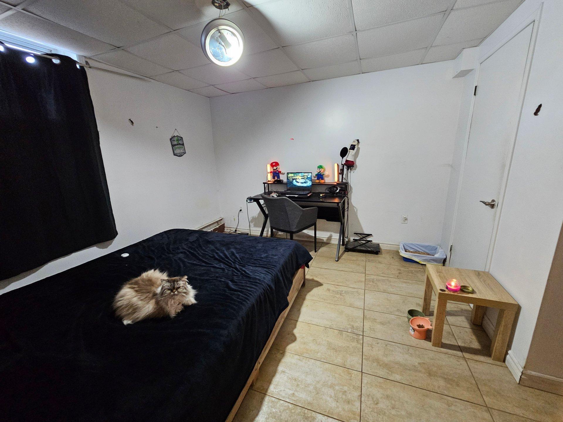 









3064


Rue College

,
Sherbrooke (Lennoxville),




QC
J1M1V6

