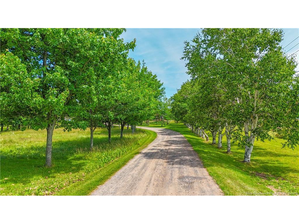 









703


113

RTE,
Inkerman,




NB
E8P 1B3

