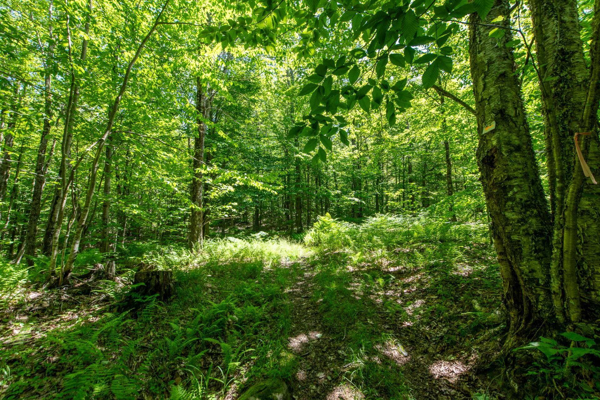 









5


Ch. Ledoux

,
Saint-Étienne-de-Bolton,




QC
J0E2E0

