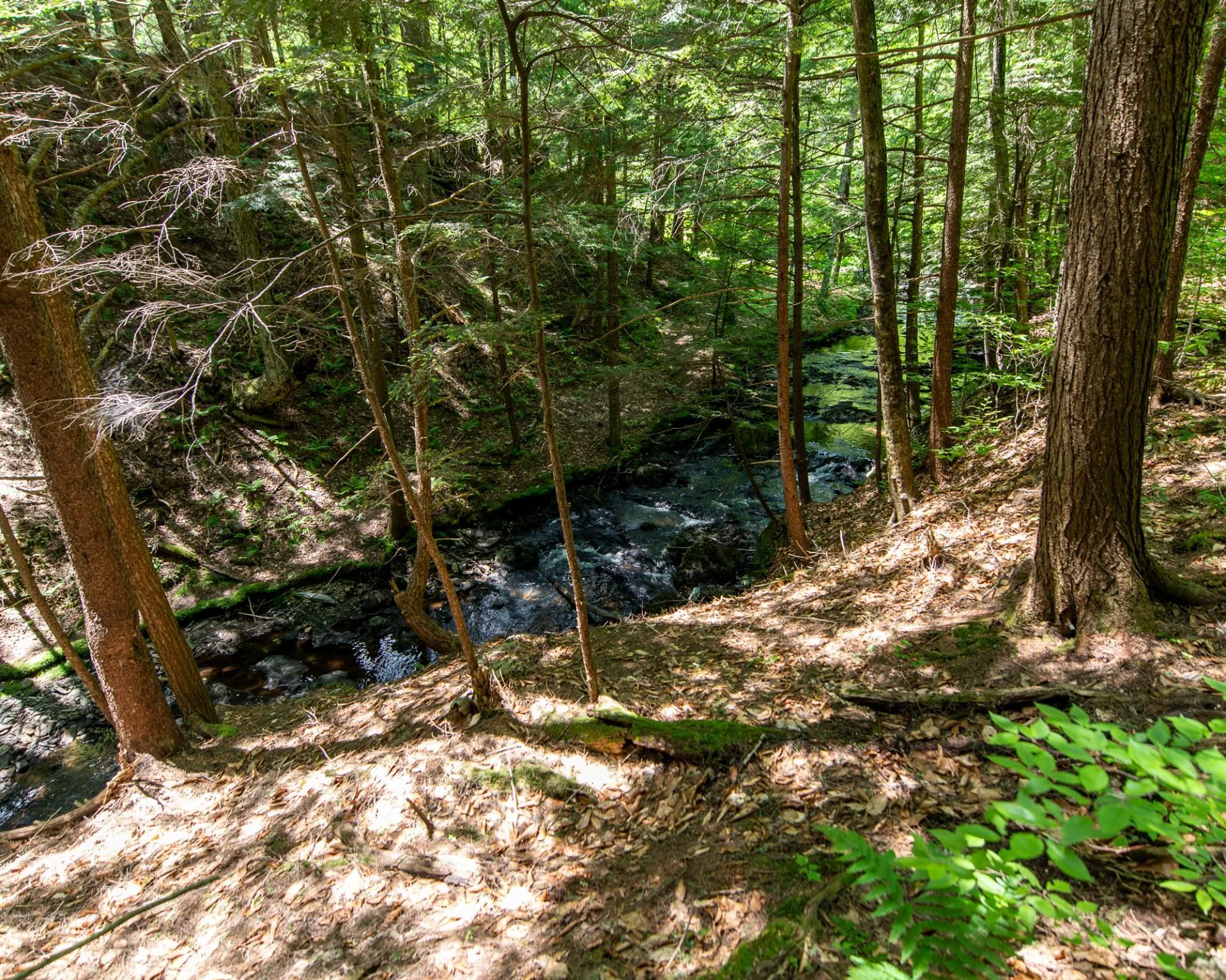









5


Ch. Ledoux

,
Saint-Étienne-de-Bolton,




QC
J0E2E0

