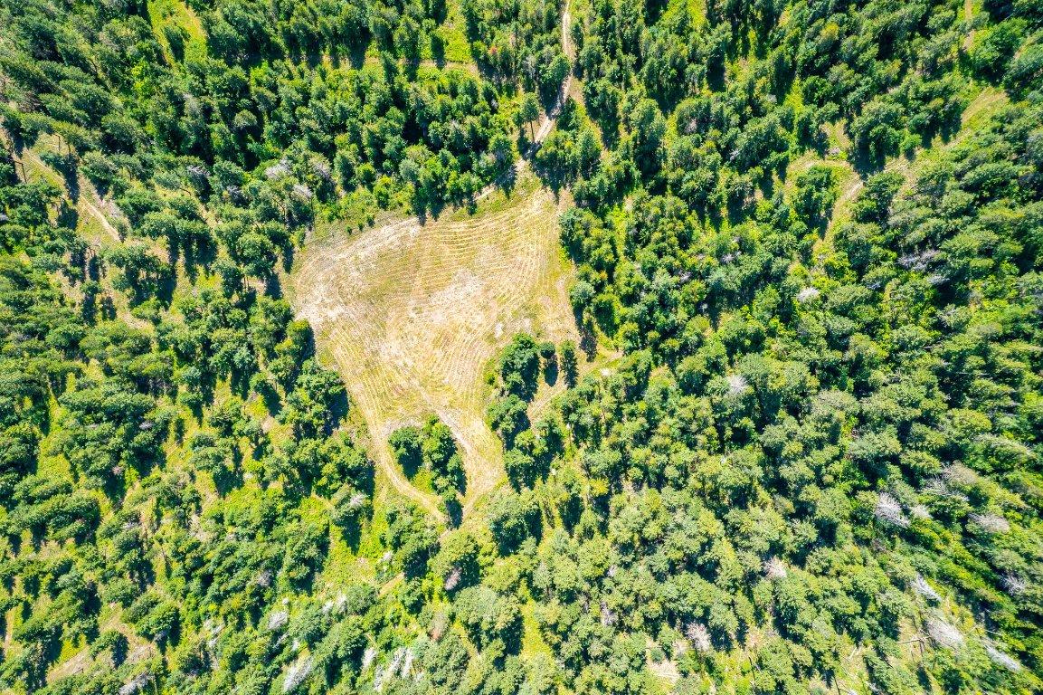 









3186


Salmon River

Road,
Salmon Arm,




BC
V1E 3H9


