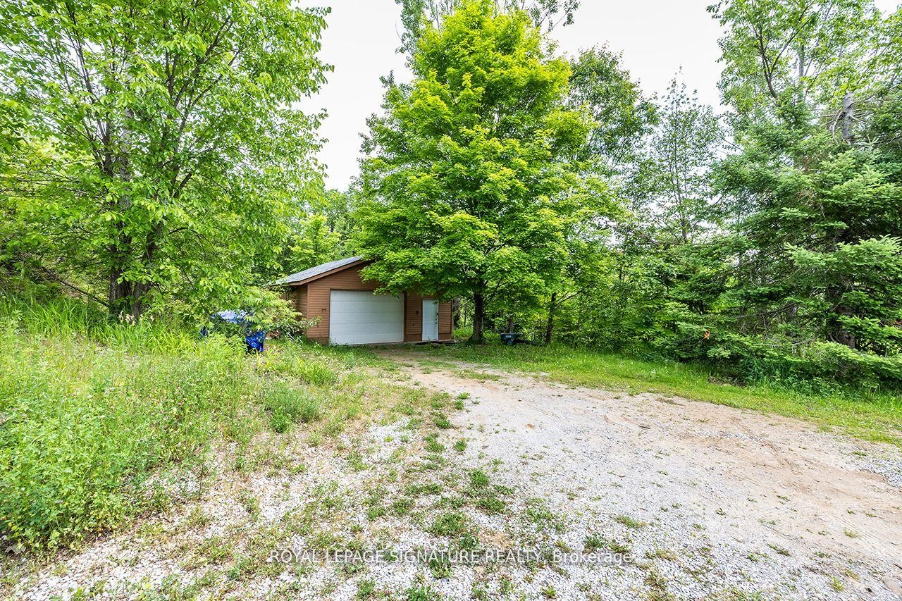 









147


Buller

Road,
Kawartha Lakes,




ON
K0M 2L0

