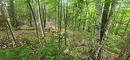 Terre/Terrain
