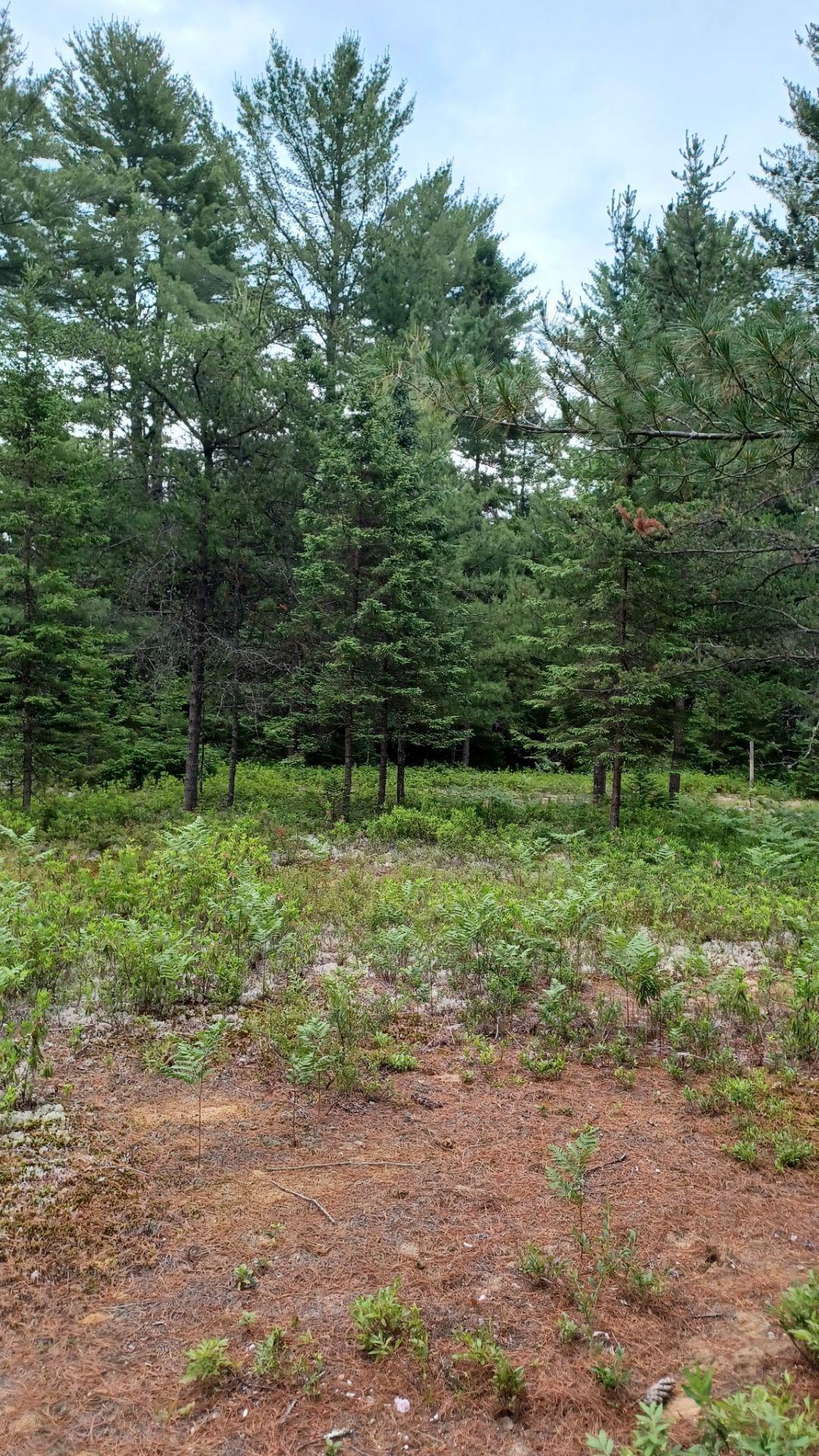 









297


Ch. des Saules

,
L'Ascension,







QC
J0T1W0

