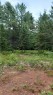 Terre/Terrain