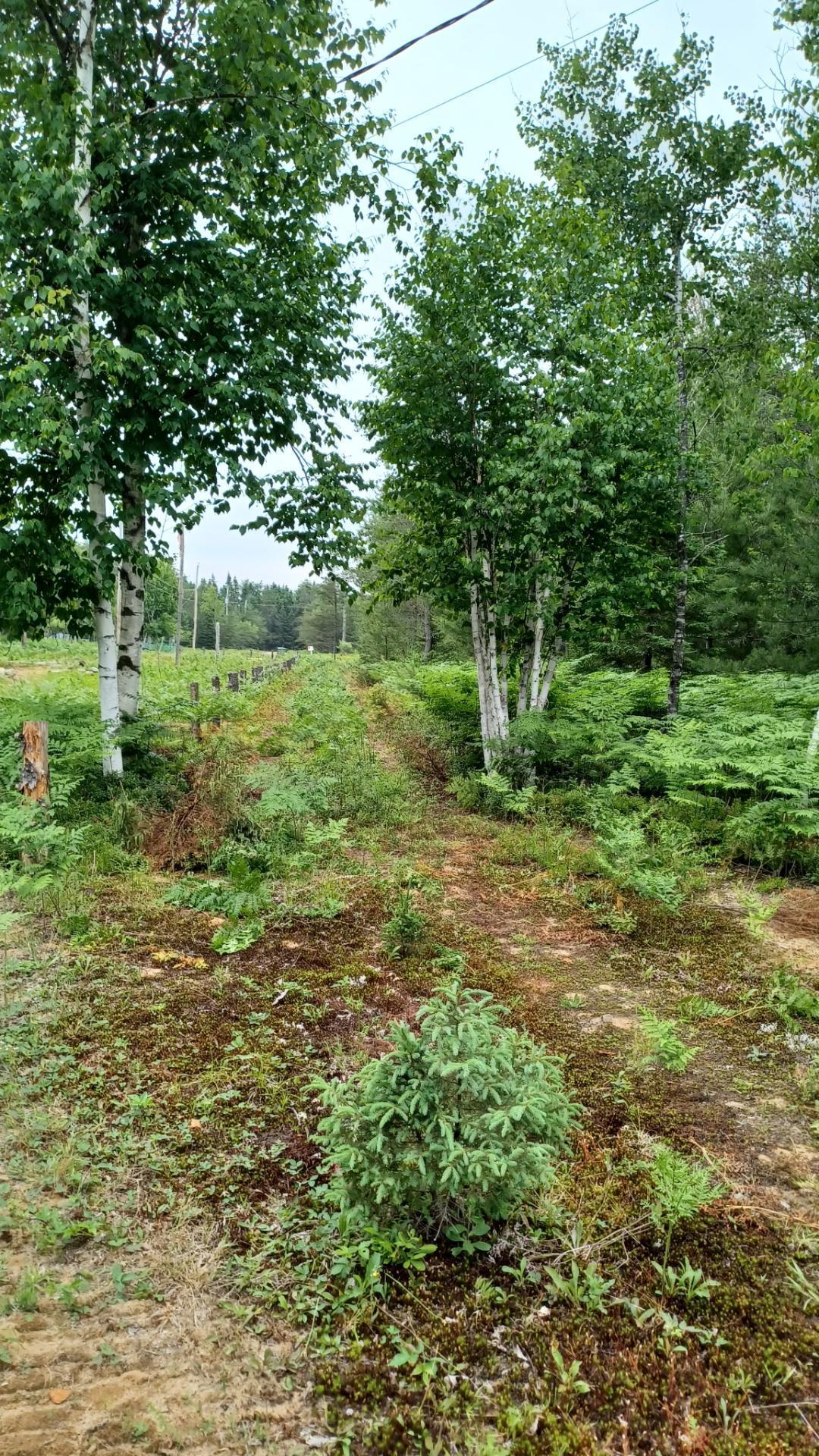 









297


Ch. des Saules

,
L'Ascension,







QC
J0T1W0

