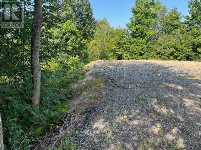 












836 RYE ROAD

,
South River,







Ontario
P0A1Z0

