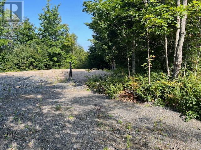












836 RYE ROAD

,
South River,







Ontario
P0A1Z0

