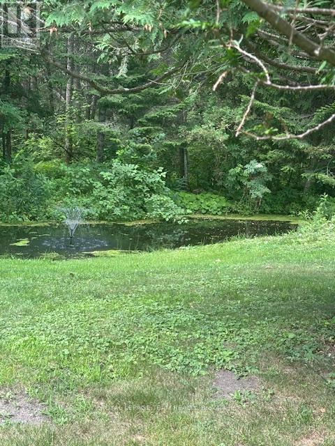 












112 LADY LOCHEAD LANE

,
Ottawa,




Ontario
K0A1L0

