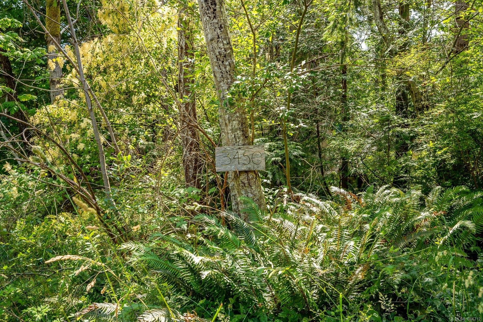 









3450


Brigantine

Cres,
Hornby Island,







BC
V0R 1Z0

