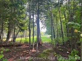 









1880-1890


Gowan Brae

DR,
Bathurst,







NB
E2A 4X5


