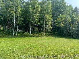 









1880-1890


Gowan Brae

DR,
Bathurst,







NB
E2A 4X5

