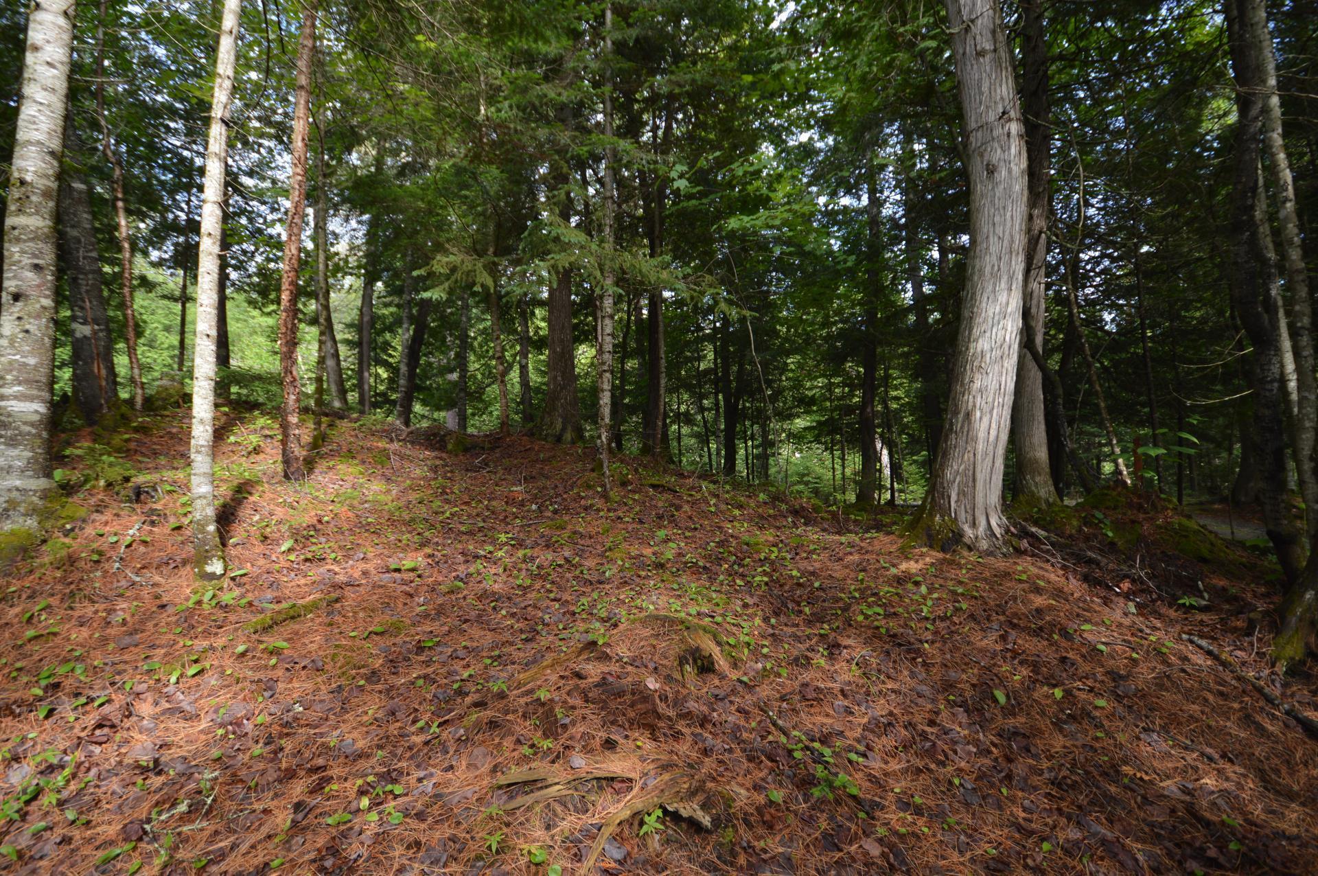









11049


Ch. Chadrofer

,
Labelle,




QC
J0T1H0

