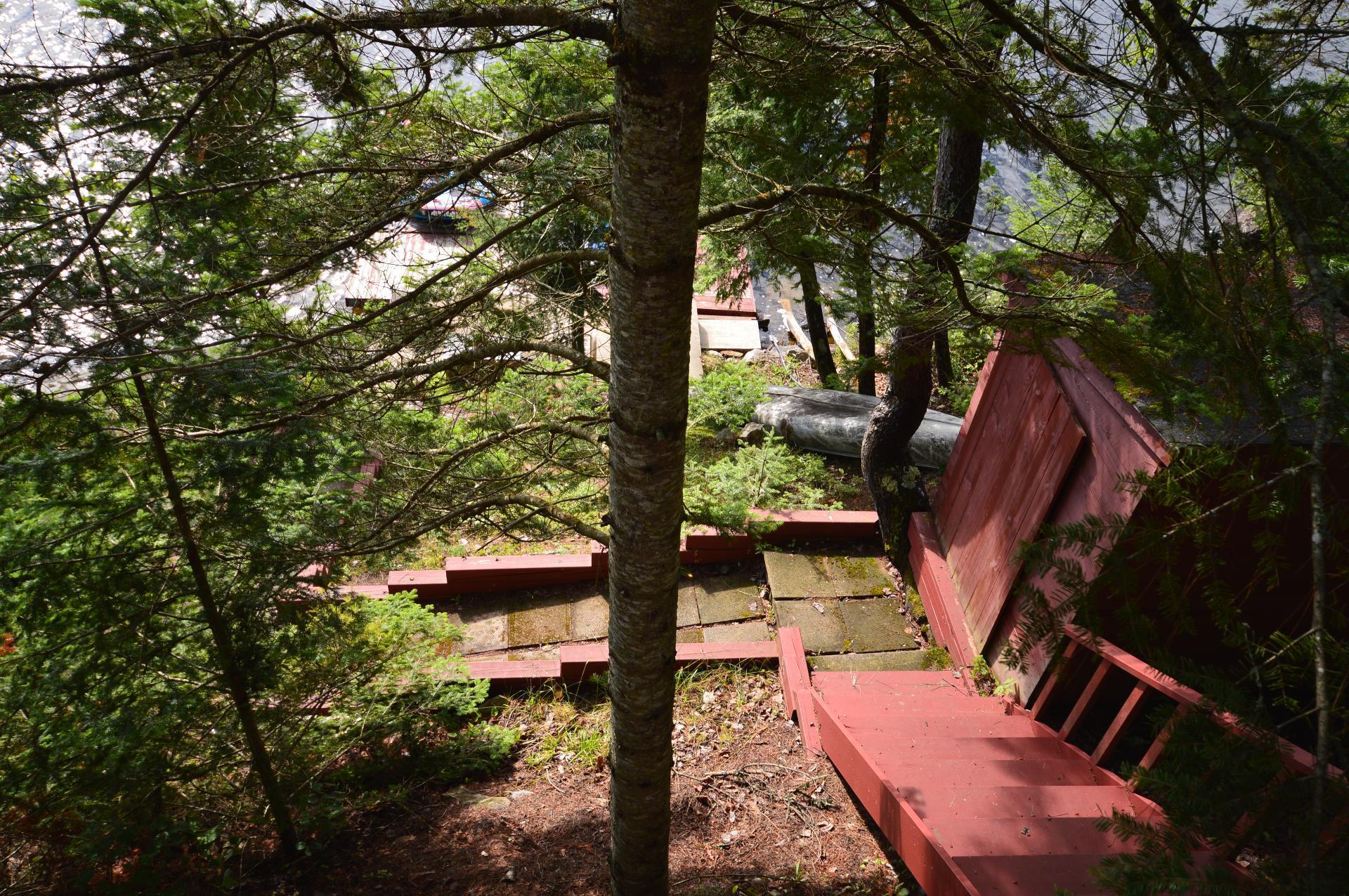 









11049


Ch. Chadrofer

,
Labelle,




QC
J0T1H0

