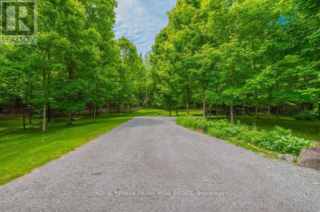 












3585 COUNTY ROAD 620

,
North Kawartha,




Ontario
K0L1A0


