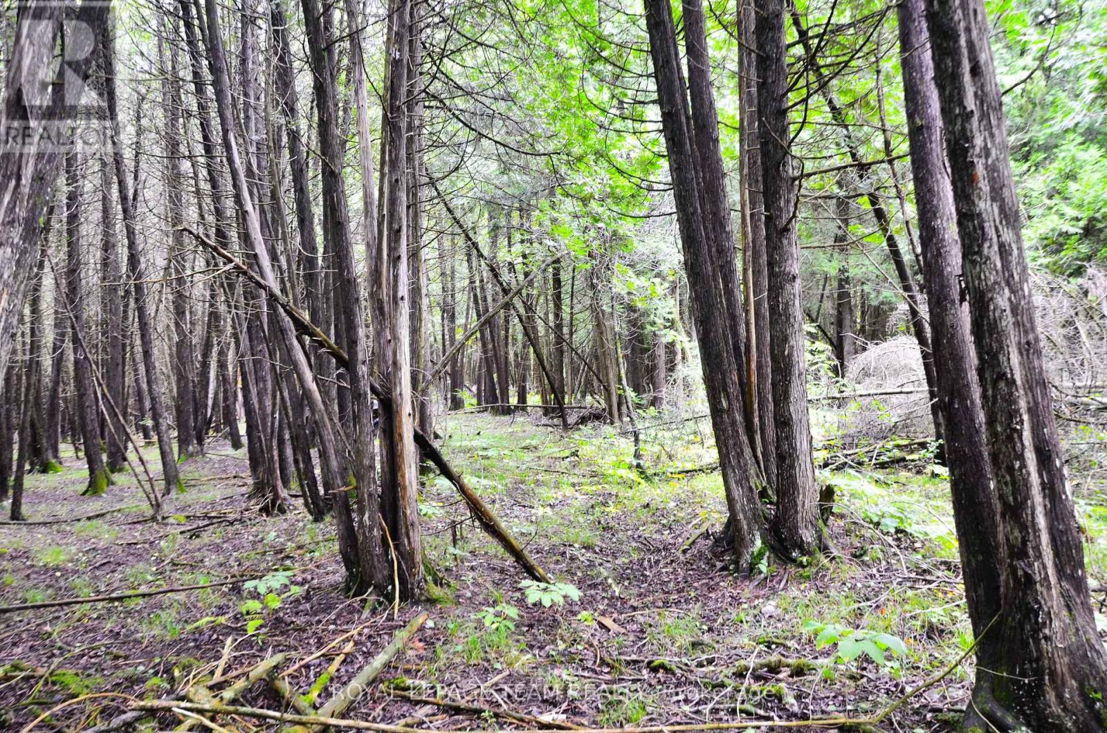 












0 WHITTAKER ROAD E

,
South Dundas,







Ontario
K0C2H0

