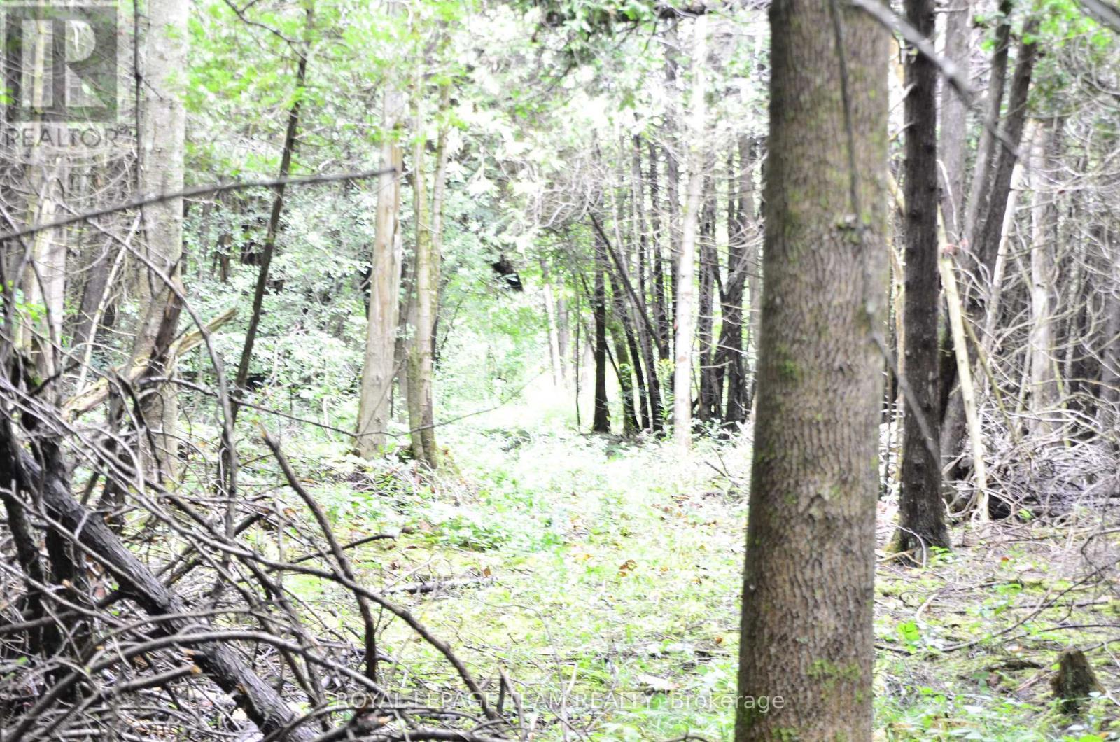 












0 WHITTAKER ROAD E

,
South Dundas,







Ontario
K0C2H0

