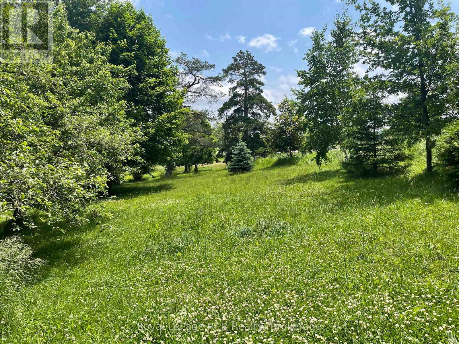 












828254 MULMUR NOTTAWASAGA TOWNLINE

,
Mulmur,




Ontario
L9V0Y7

