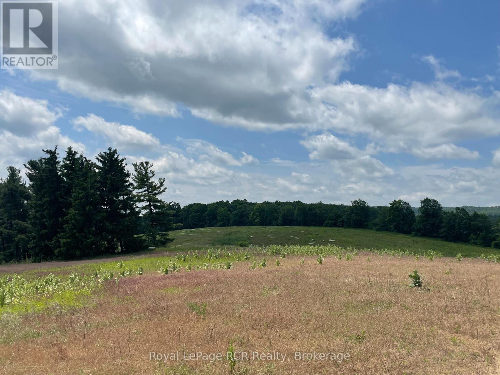 












828254 MULMUR NOTTAWASAGA TOWNLINE

,
Mulmur,




Ontario
L9V0Y7

