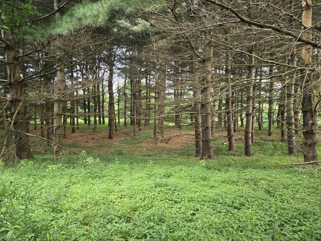 












Lot 3 Salmon River Road

,
Murray Siding,







NS
B2N 7E1

