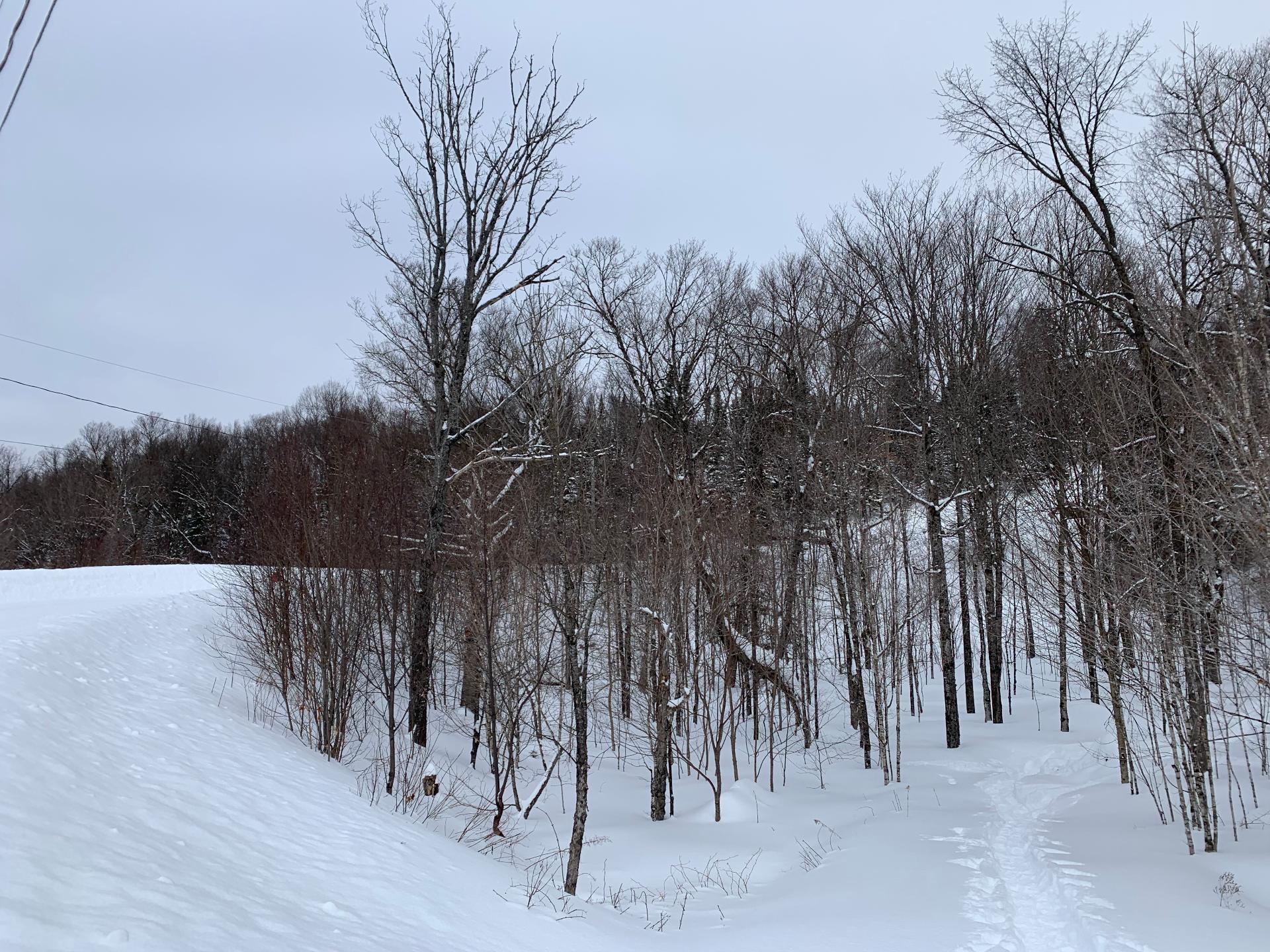 












Ch. du Lac-Quenouille

,
Val-des-Lacs,







QC
J0T2P0

