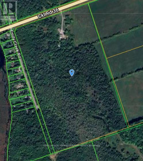 












2236 COUNTY 36 ROAD

,
Kawartha Lakes,




Ontario
K0M1L0

