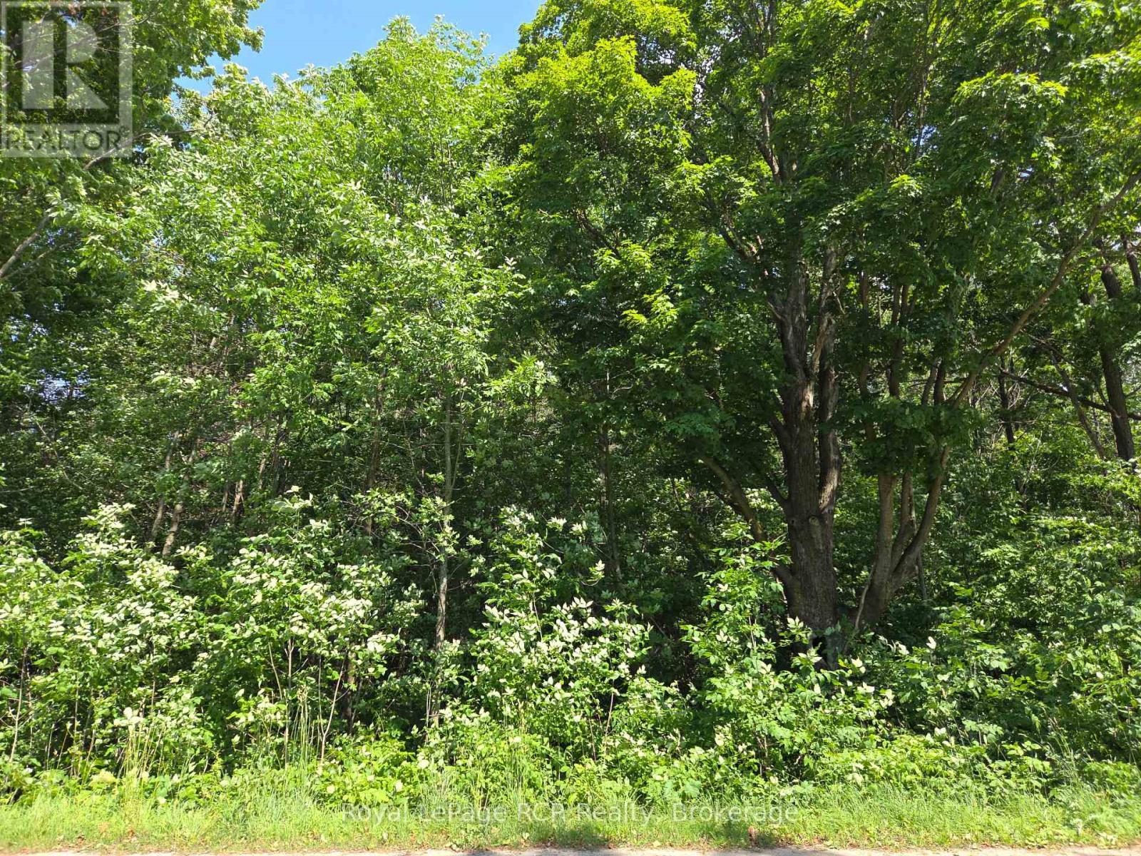 












LT12&13 SIMPSON STREET

,
Grey Highlands,







Ontario
N0C1E0

