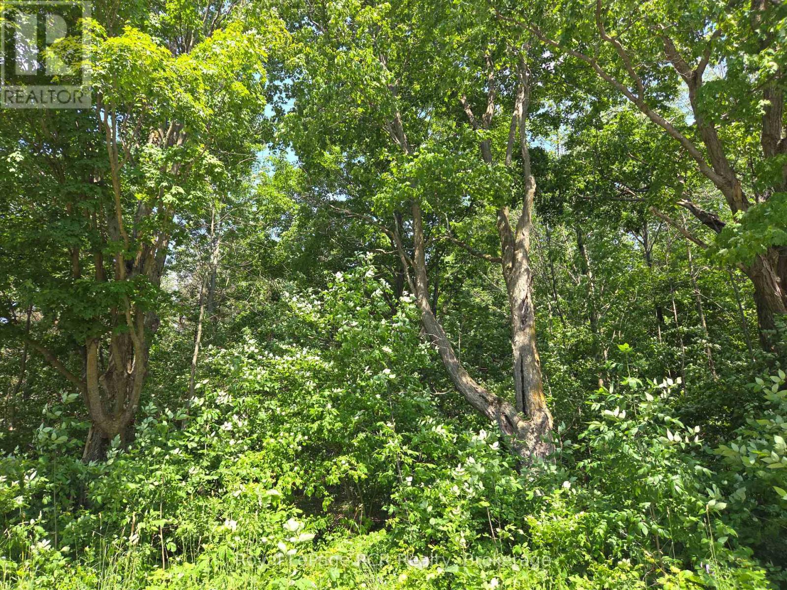 












LT12&13 SIMPSON STREET

,
Grey Highlands,







Ontario
N0C1E0

