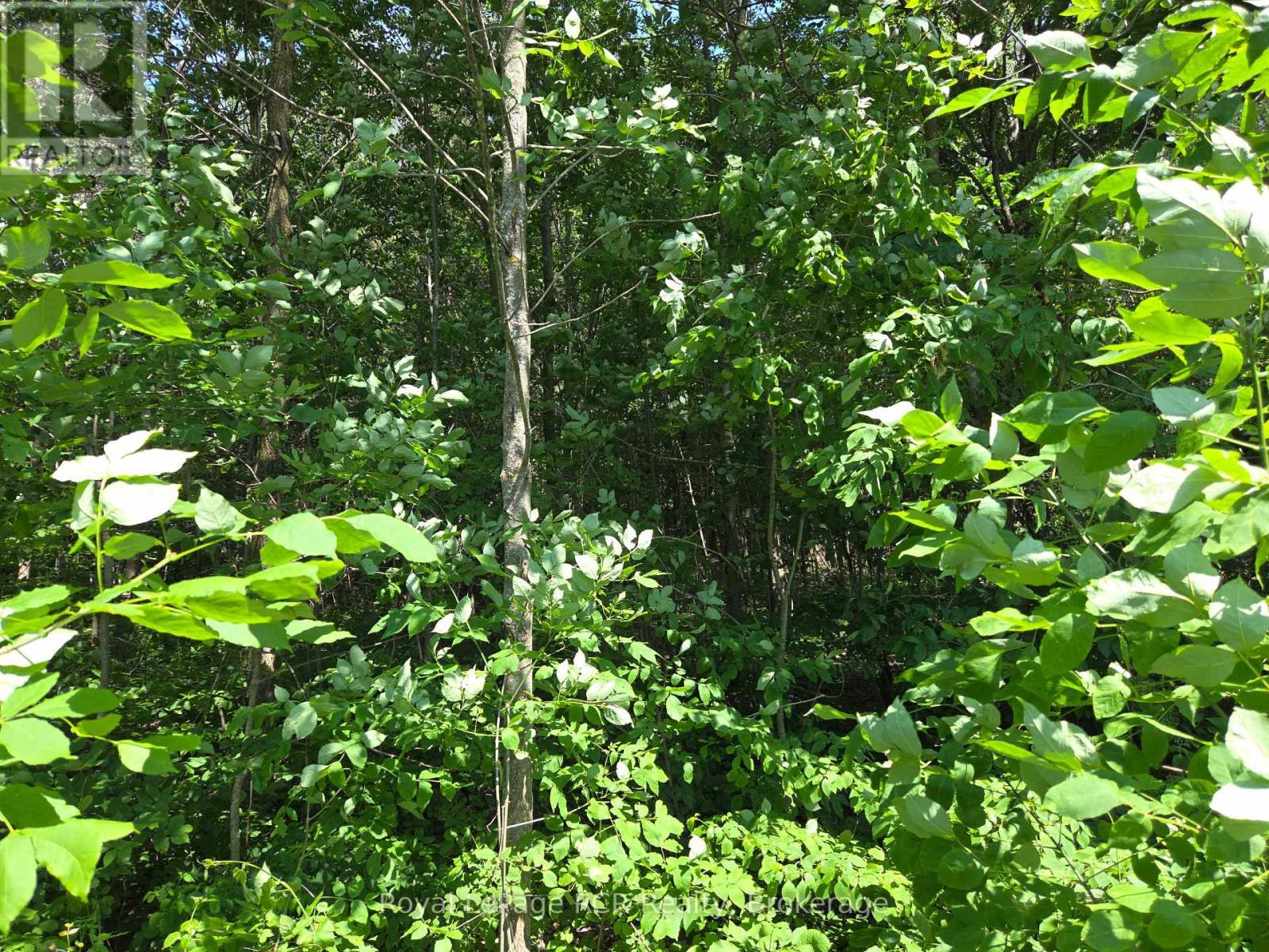 












LT12&13 SIMPSON STREET

,
Grey Highlands,







Ontario
N0C1E0

