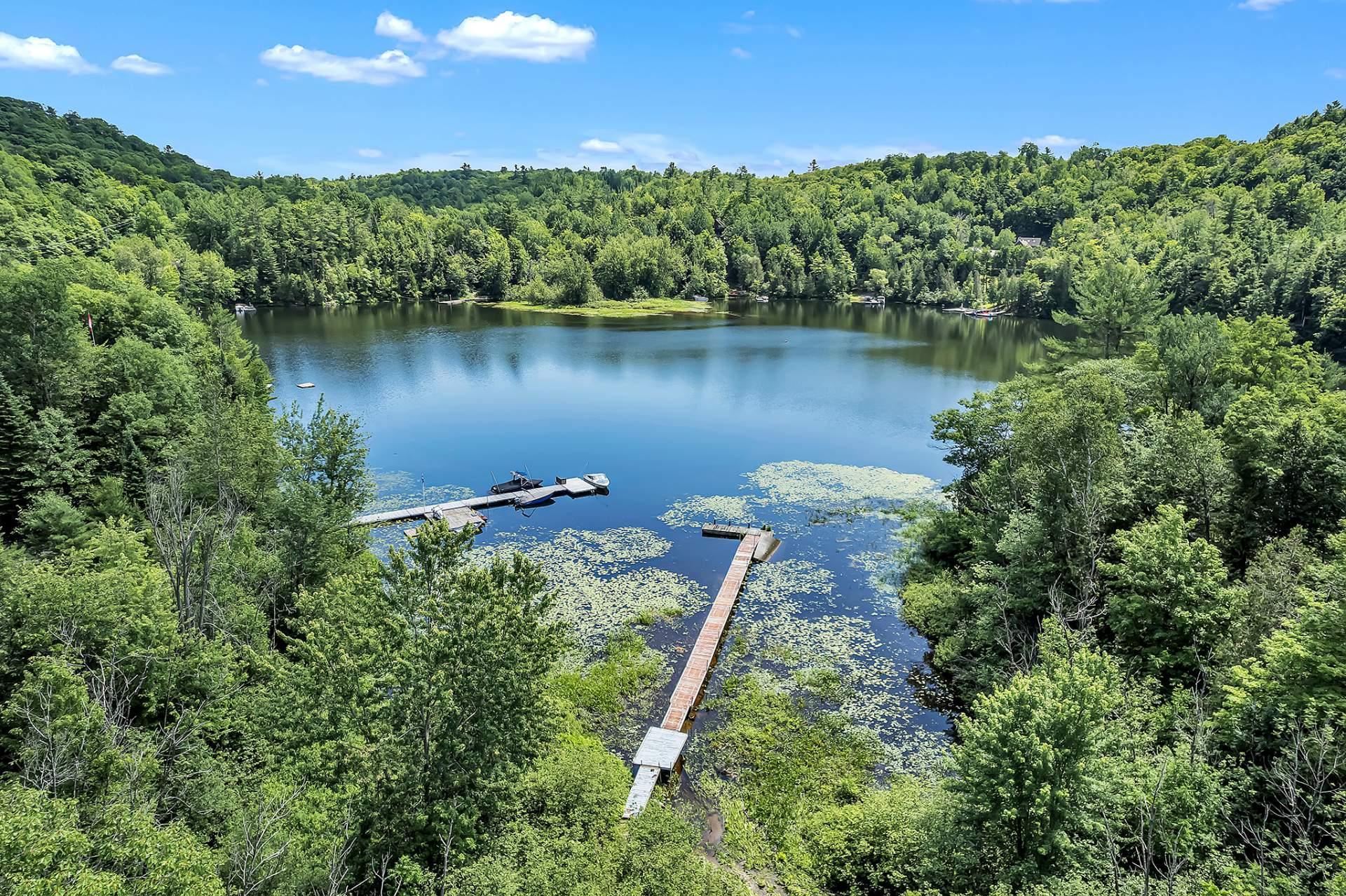









160


Ch. Blackburn

,
Val-des-Monts,




QC
J8N6A9


