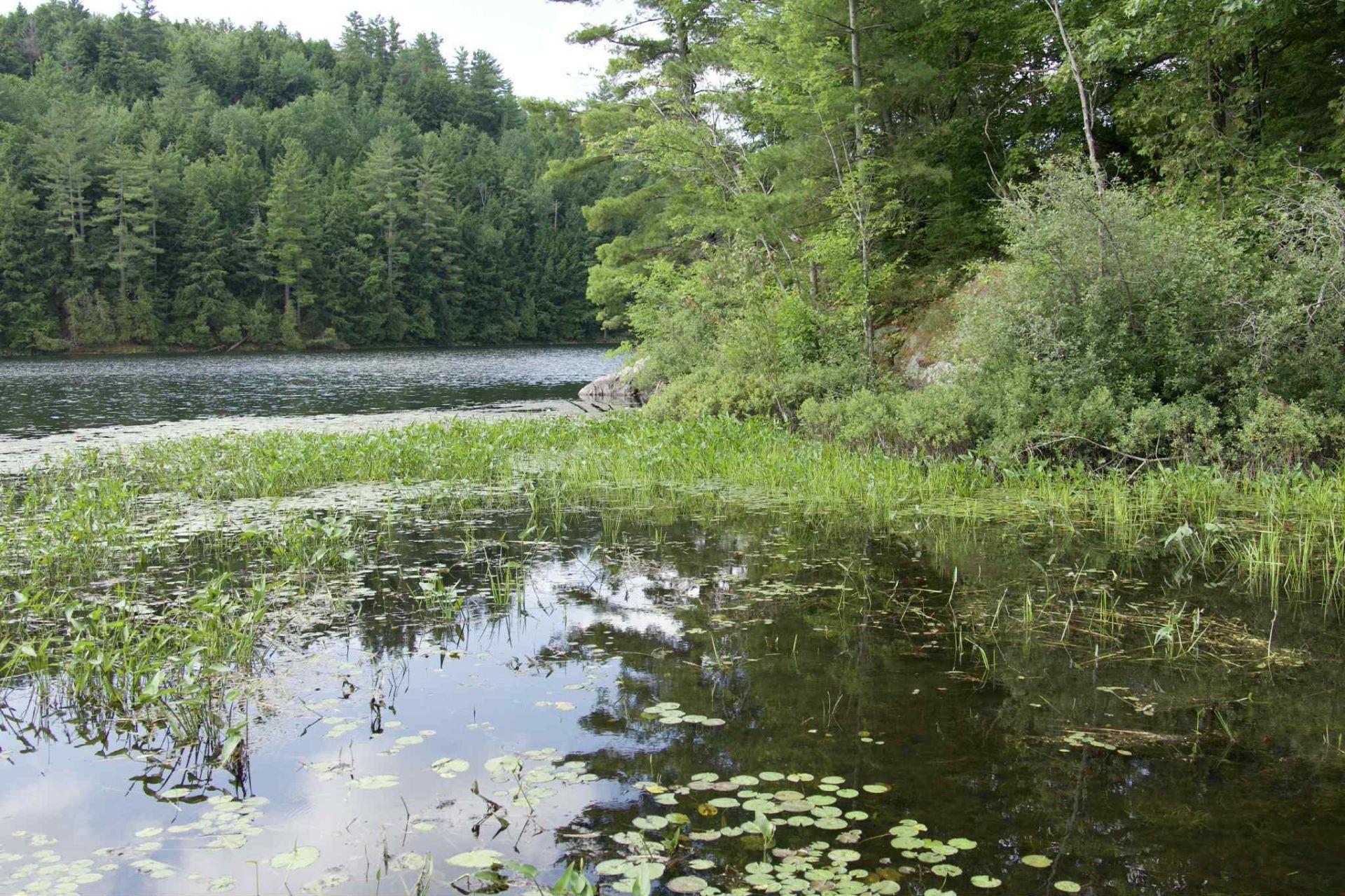 









160


Ch. Blackburn

,
Val-des-Monts,




QC
J8N6A9

