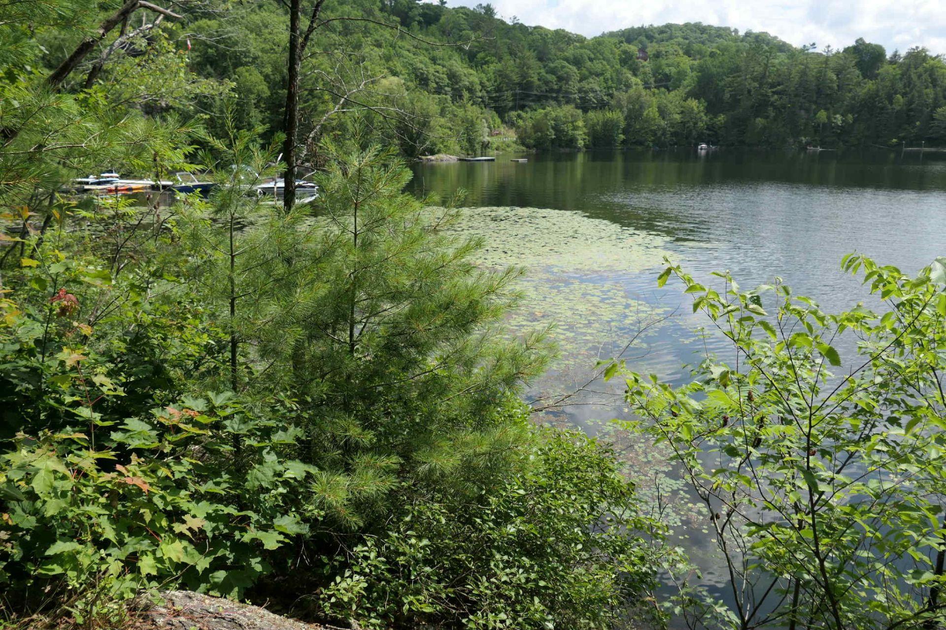 









160


Ch. Blackburn

,
Val-des-Monts,




QC
J8N6A9

